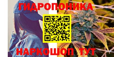 крисы Коммунар