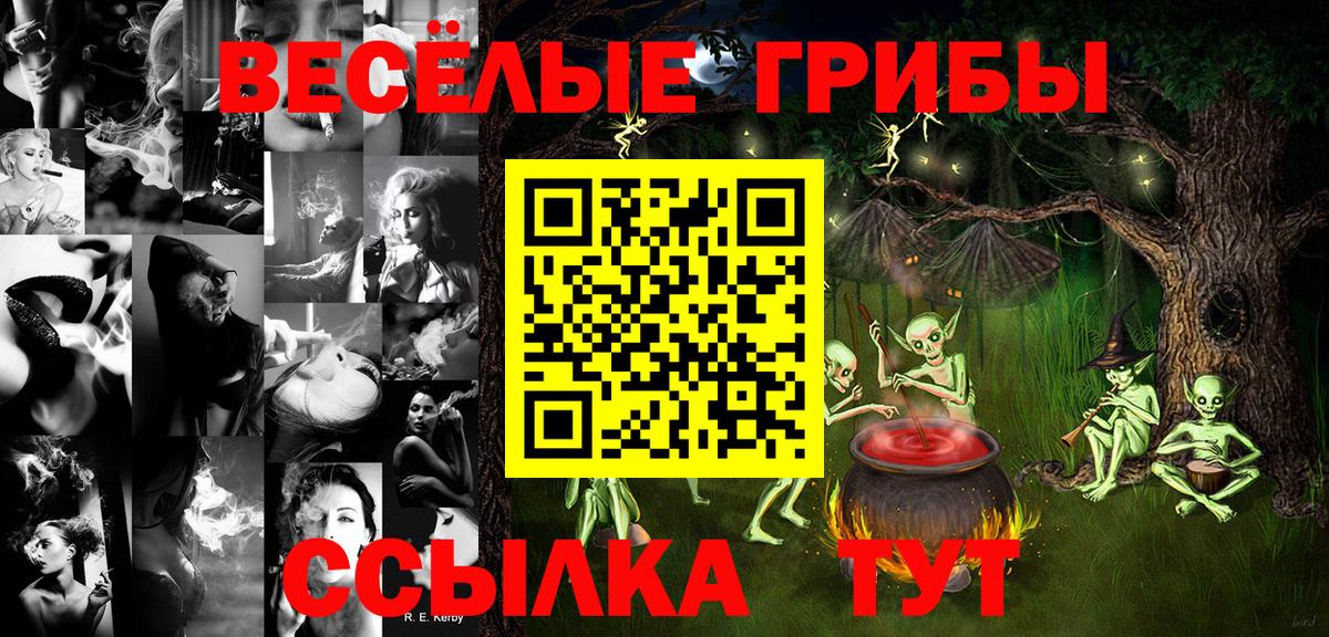 Псилоцибиновые грибы Psilocybine cubensis Кострома