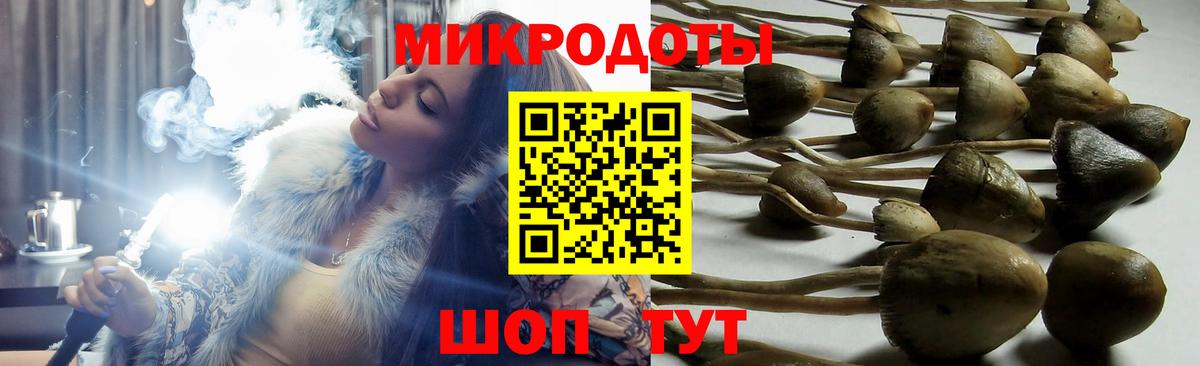 Псилоцибиновые грибы мицелий  Вход с VPN  Кострома 